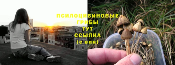 первитин Нягань