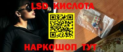 шишки Абакан