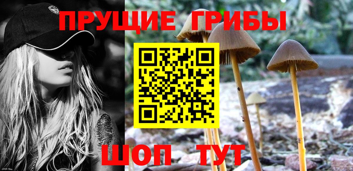 Краснотурьинск  наркотики  Псилоцибиновые грибы MAGIC MUSHROOMS  Вход с VPN  Псилоцибиновые грибы мицелий 